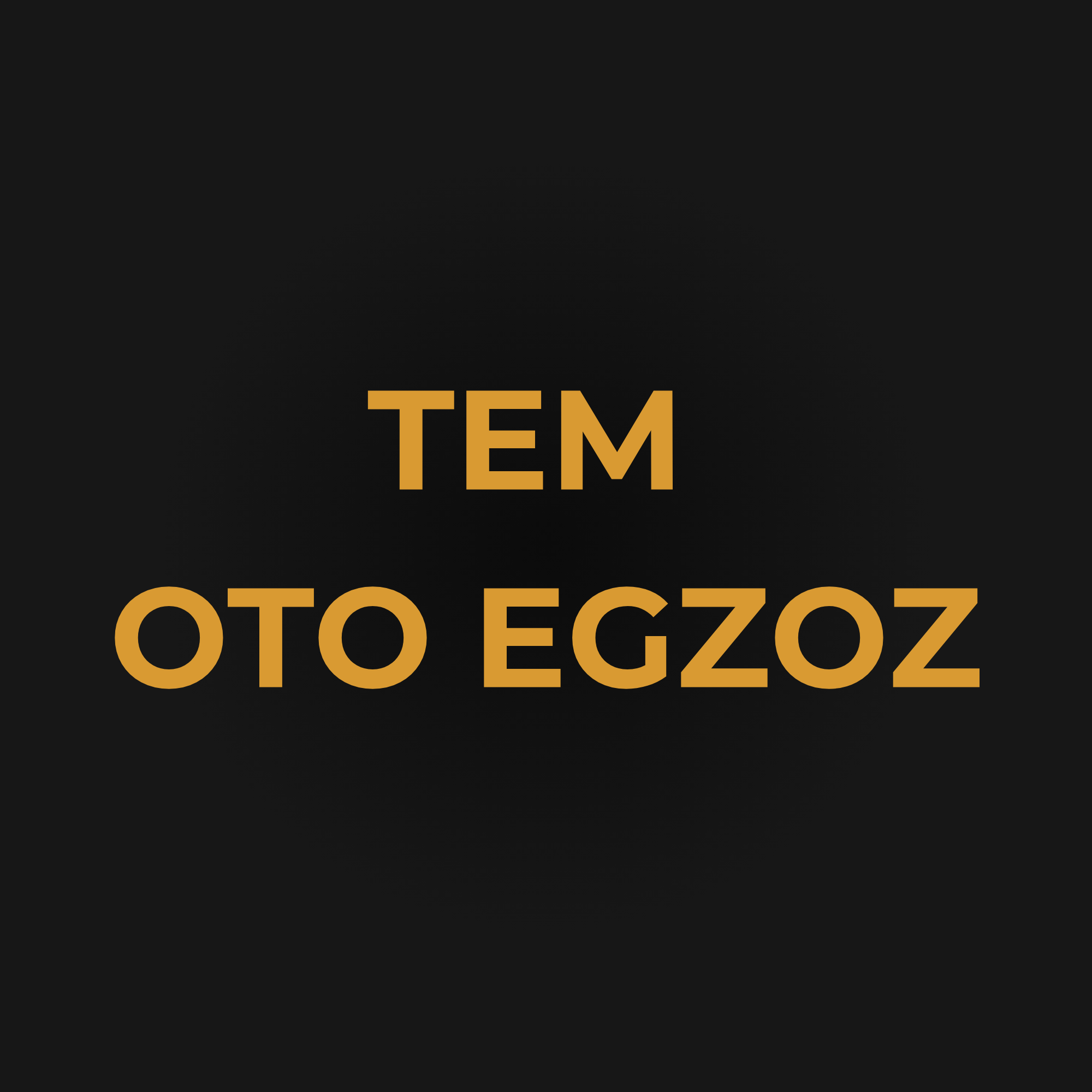 Tem Egzoz
